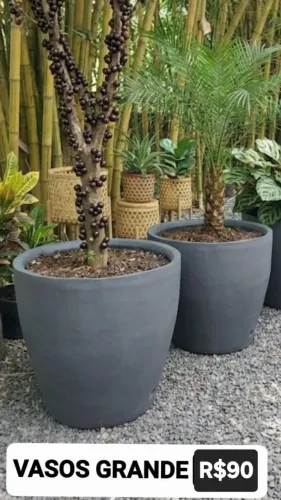 Vasos jarros para frutíferas