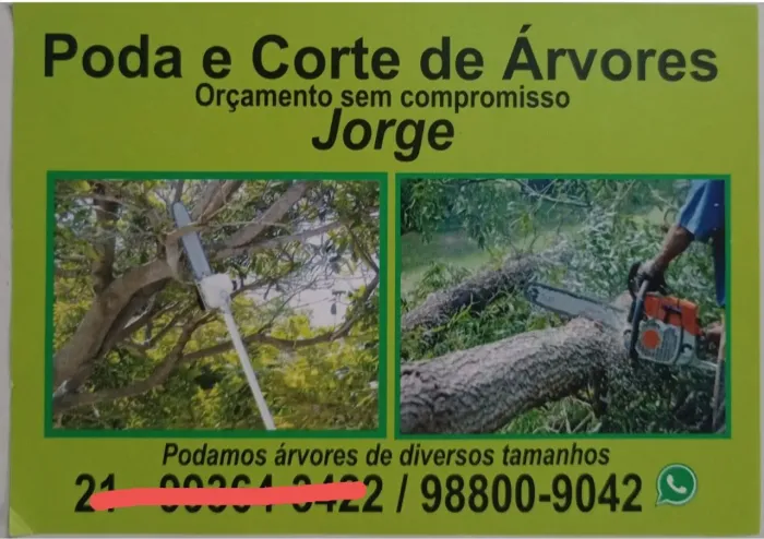Poda de árvore 