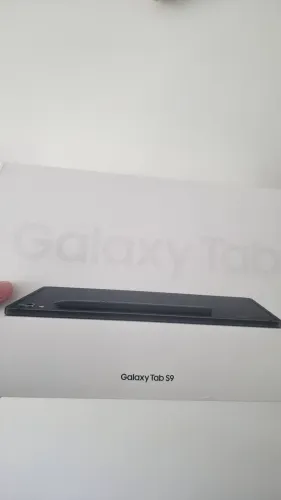 Galaxy Tab S9 256gb Wifi Grafite Lacrado