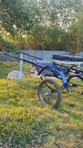 Charrete no a sem uso