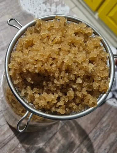 Grãos de Kefir de Água - Cultivo Caseiro 