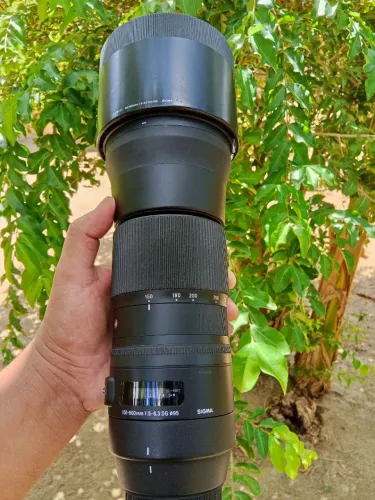 Lente Sigma Canon 150-600 f5-6.3 