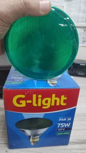 Lâmpada para Jardim Halógena PAR38 75W 127V Lente Verde