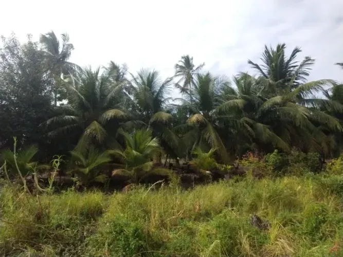 Terreno Espetacular 3.150 m2 - Aracati - Com muita água