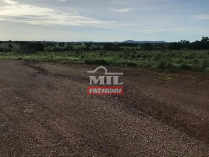 Fazenda 124 Alqueires em Nova Crixás - GO
