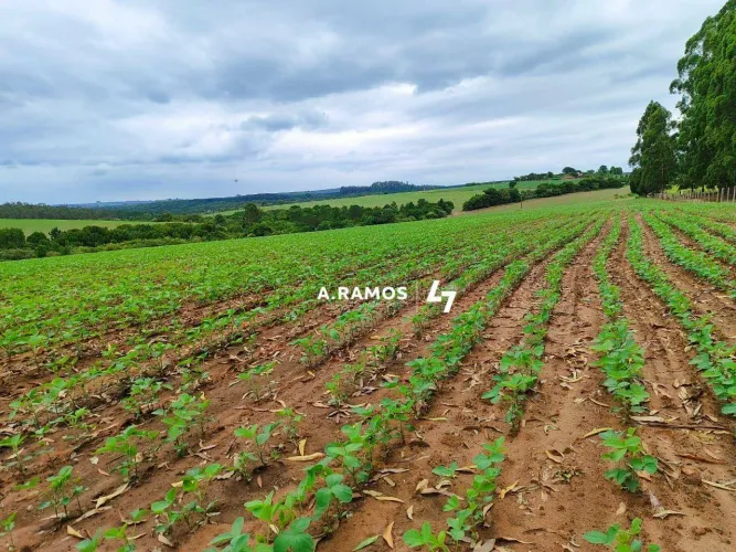 Fazenda à venda em Agricultura com 968000 m² por R$ 18.000.000 - Área Rural de Porto Feliz