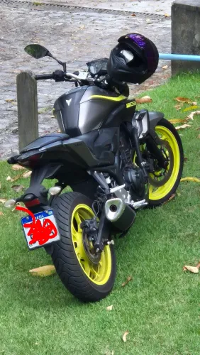 Mt03 