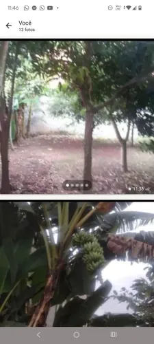 Terreno cachoeira