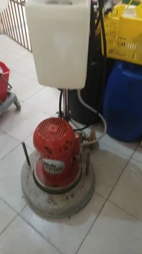Polidora