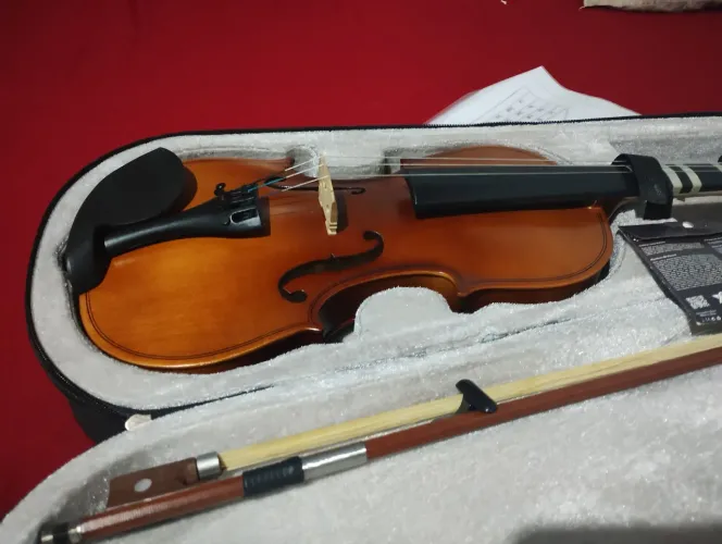 Violino para iniciantes