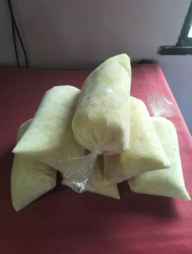Polpa de cupuaçu cortada na tesoura