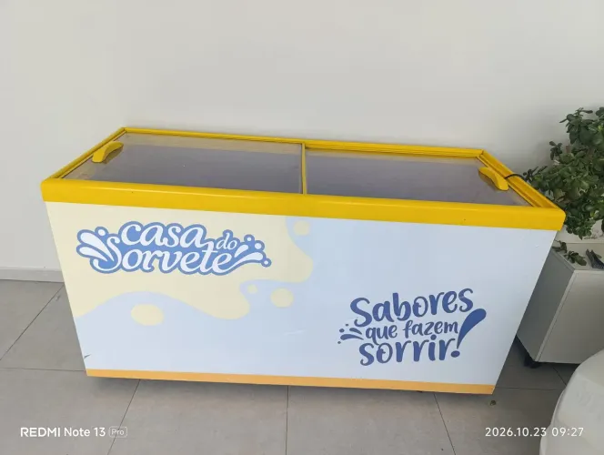 Vendo Freezer 500lt gelopar