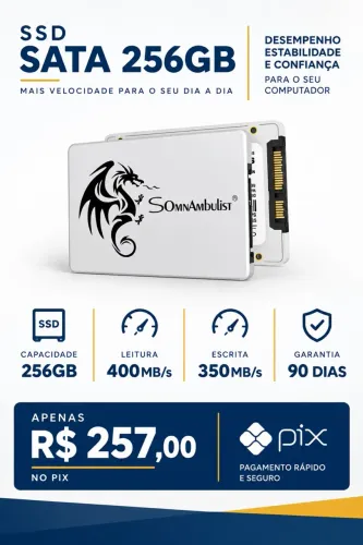 SSD sata 256GB Novo com garantia de 90 dias