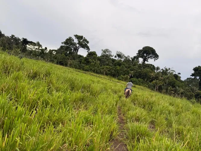? PROPRIEDADE RURAL À VENDA
