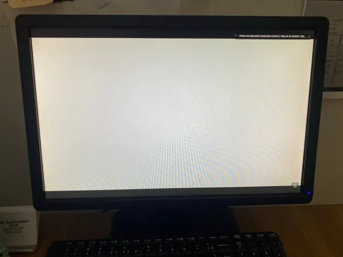 Monitor Dell