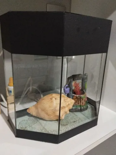 Aquário 9L com bocal