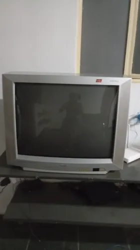Televisão