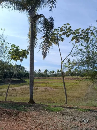 Sitio em quadra 10 alqueires Rio no fundo Valor 2.200,000 mil Excelente localização
