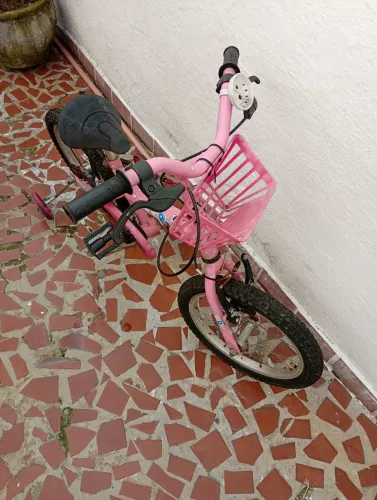 Bicicleta