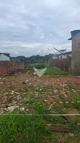 Lote / Terreno - Nova Floresta