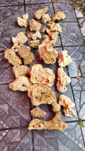 ROCHA MARINHA E SANSIBAR PARA AQUARIOS!