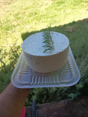 Queijo de cabra fresco