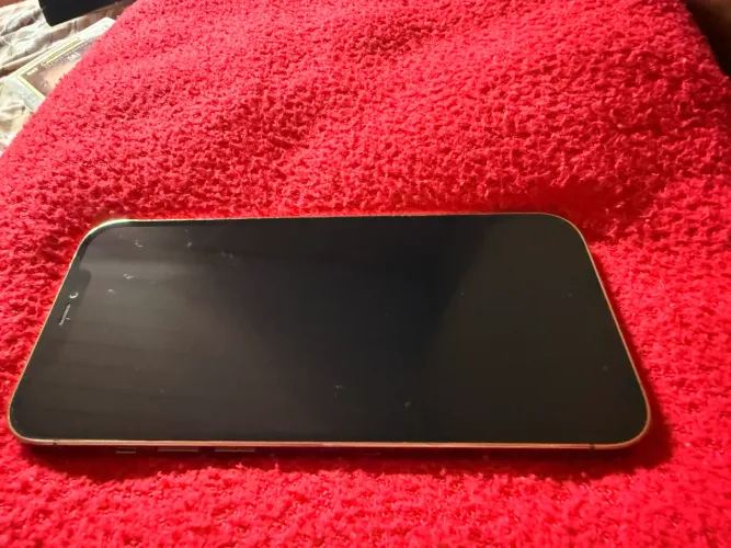 iPhone 12 Pro Max 