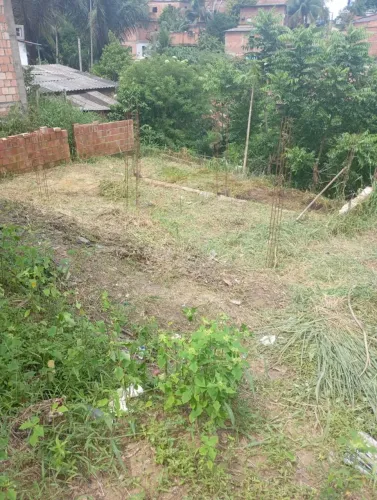 Oportunidade Terreno Santa Etelvina 10x11
