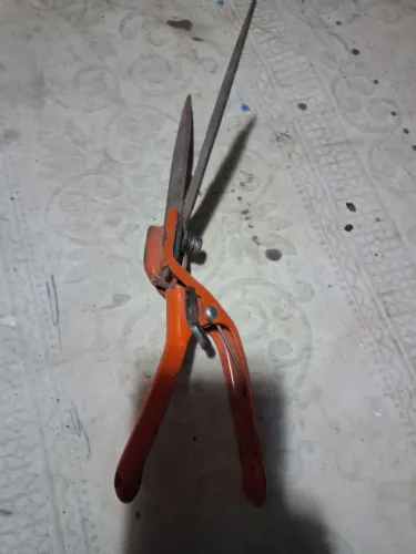 Tesoura para poda de plantas