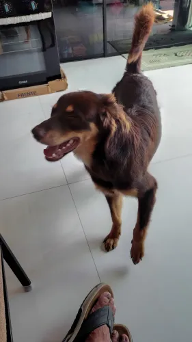 Doação
