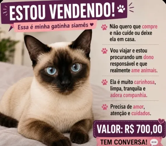 ? GATINHA SIAMÊS