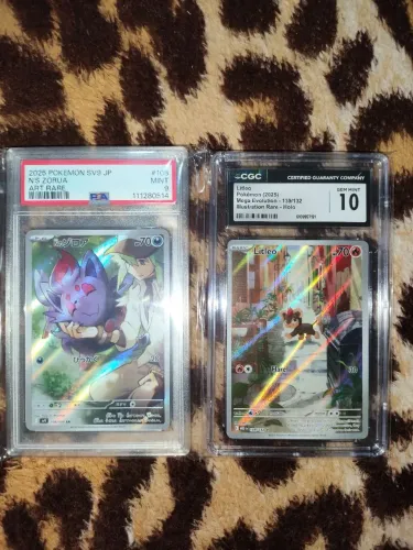Cartas pokémon graduadas n's zorua e litleo