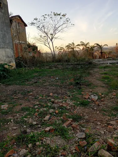 terreno