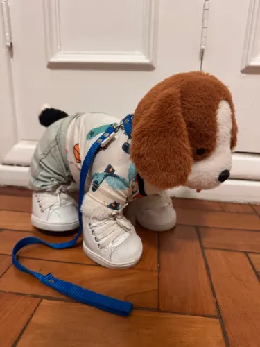 Cachorro CRIAMIGOS