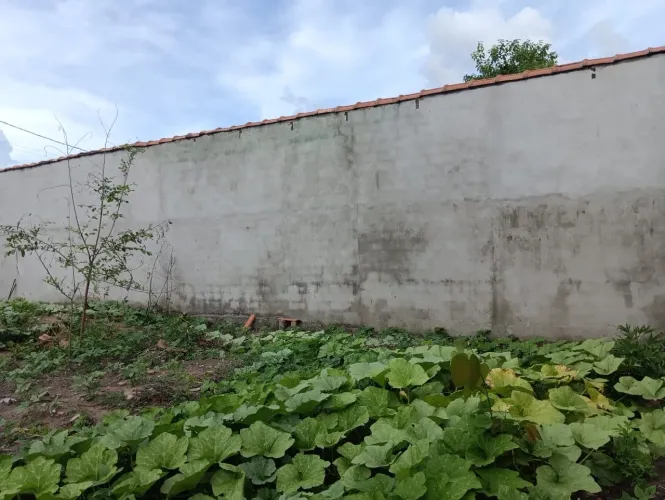 VENDO LOTE EM ARUANÃ