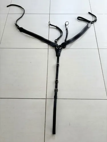 Lindo peitoral com pouco uso. Completo. Importado da Europa 