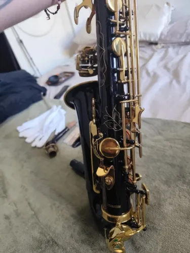 Saxofone Alto Halk Preto Com Chaves Douradas