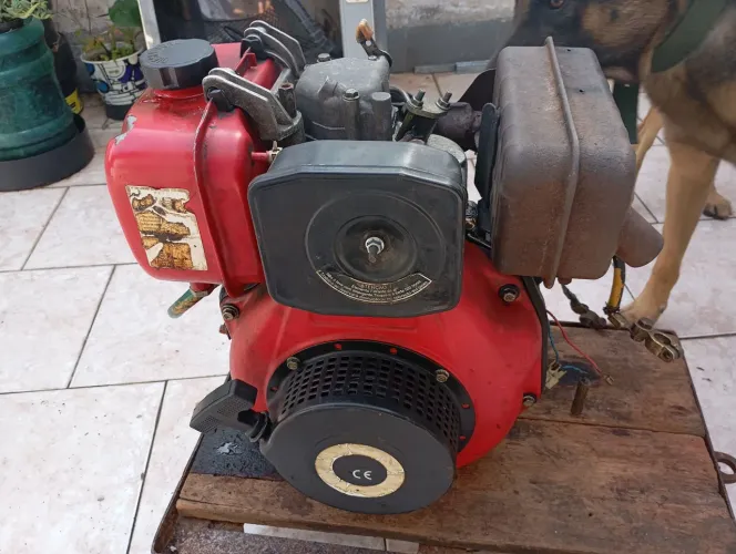 Motor Branco a diesel 10 HP 