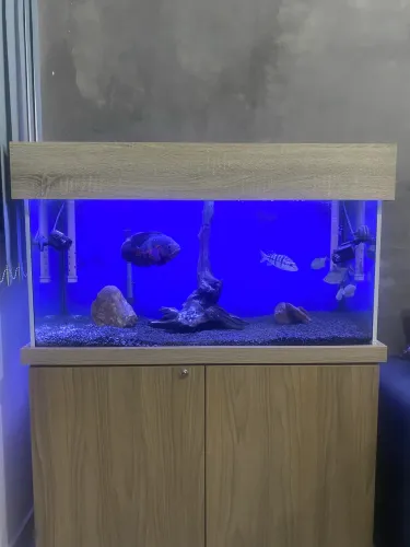 Aquário 200 l