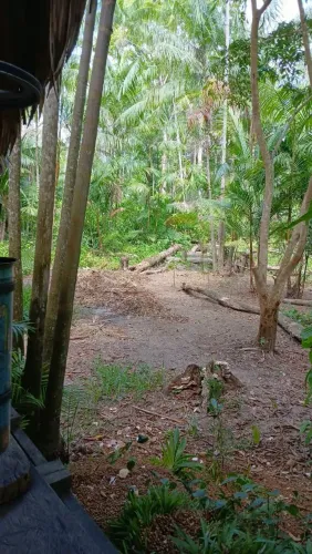 Vendo terreno no rio Gabriel, município de afua