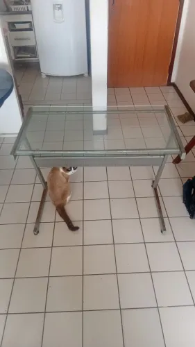 Mesa secretaria 