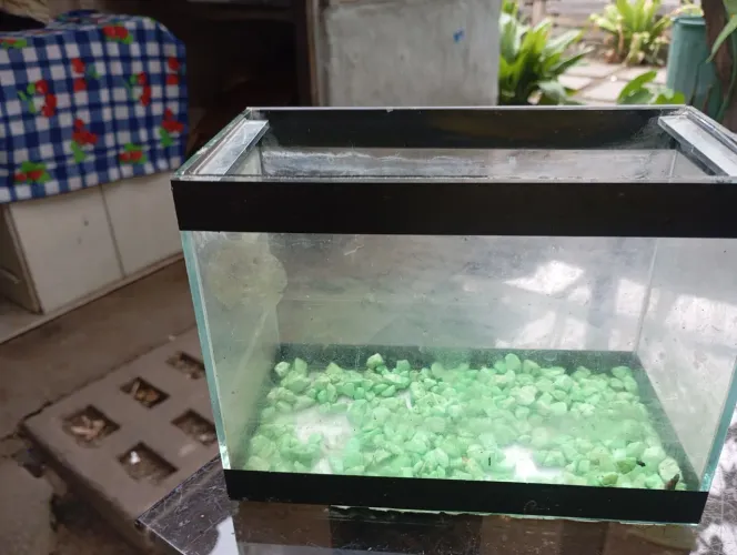 Aquário pra peixe 