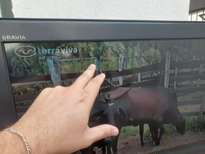 Televisor de Sony  32" tela de cristal  com controle...pequena avaria na tela 