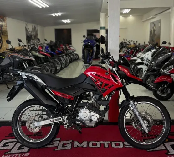 CROSSER Z 2024