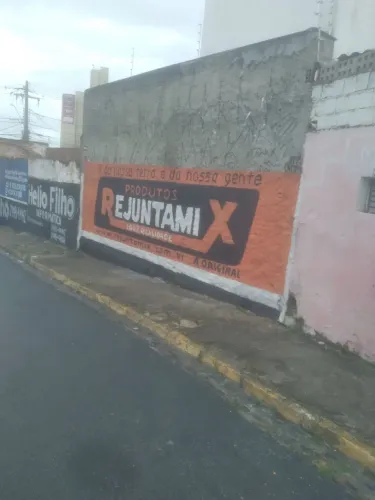 Pintor de muros