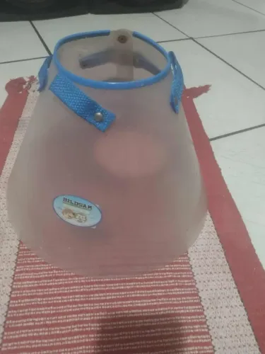 Colar pós cirúrgico para cães n'6 ( retirar)