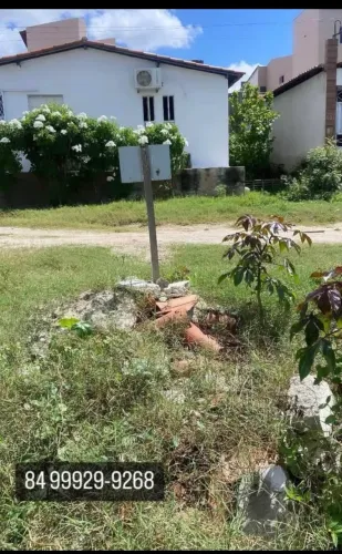 Terreno em Caicó (Bairro Canutos e Filhos)