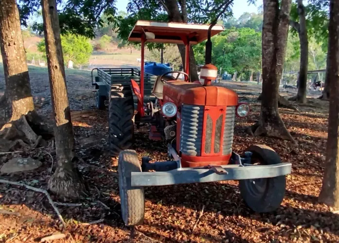 Vende-se Trator Massey Ferguson 50