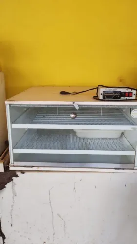 Chocadeira automática de ovos - Golden / Modelo Golden C G 240 com ovoscopio.