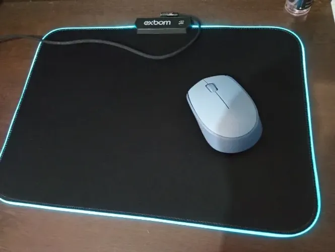 Mouse pad e Mouse Loggi